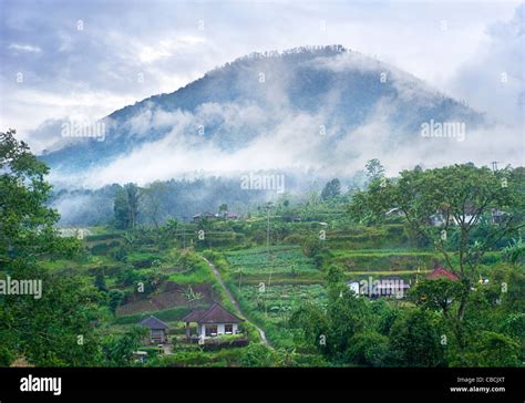 East Java Landscape