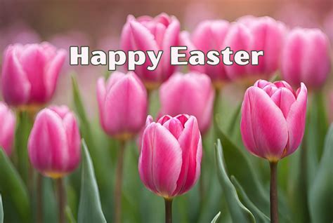 Easter And Tulips
