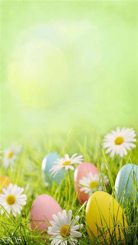 Easter Backgrounds For Phone