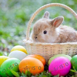 Easter Break Lmu
