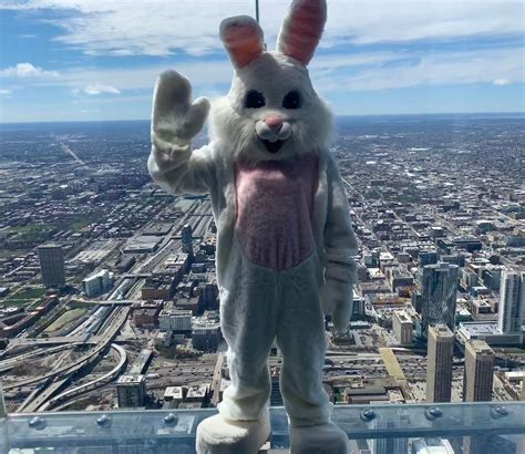 Easter Bunny Chicago