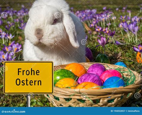 Easter Bunny Germany