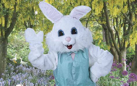 Easter Bunny Locations