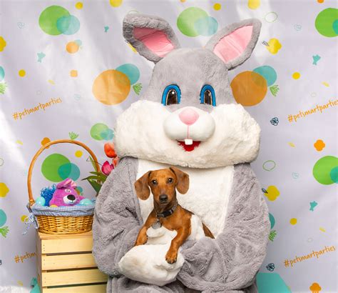 Easter Bunny Petsmart