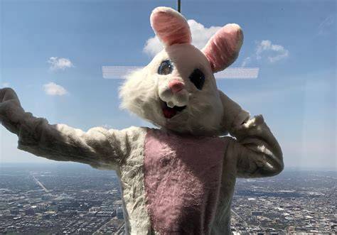 Easter Bunny Pictures Chicago