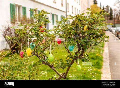 Easter Bush