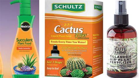 Easter Cactus Fertilizer