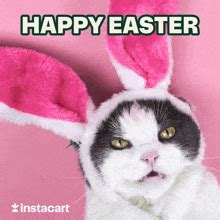 Easter Cat Gif
