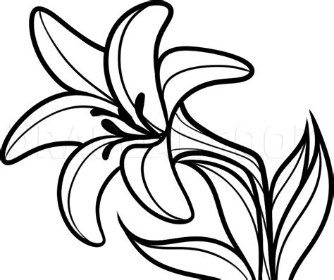 Easter Flower Drawing