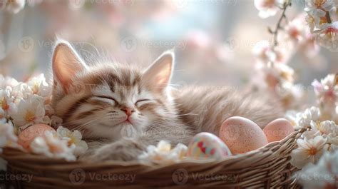 Easter Kitten