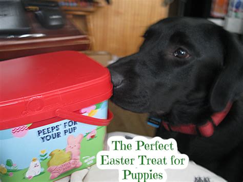 Easter Milk Bones