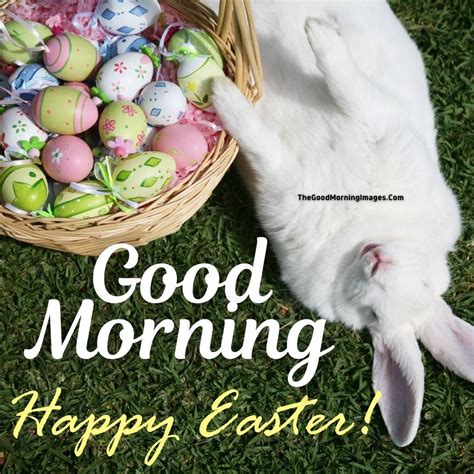 Easter Morning Pictures