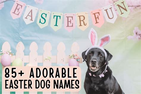 Easter Names For Dogs