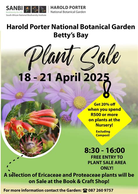 Easter Plants For Sale