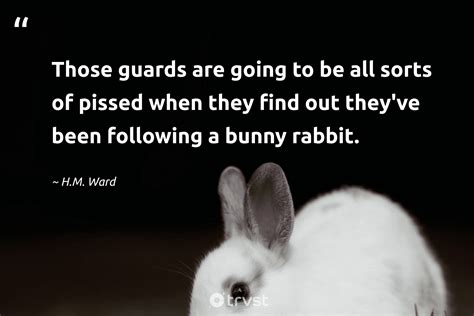 Easter Rabbit Quotes