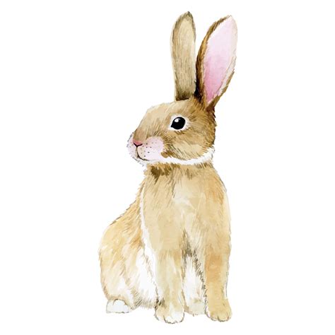 Easter Rabbit Watercolor