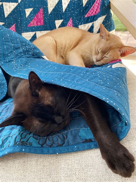 Easter Weekend Quilts And Cats