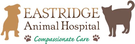 Eastridge Animal Hospital La Mesa CA: Compassionate Care for Your Beloved Pets
