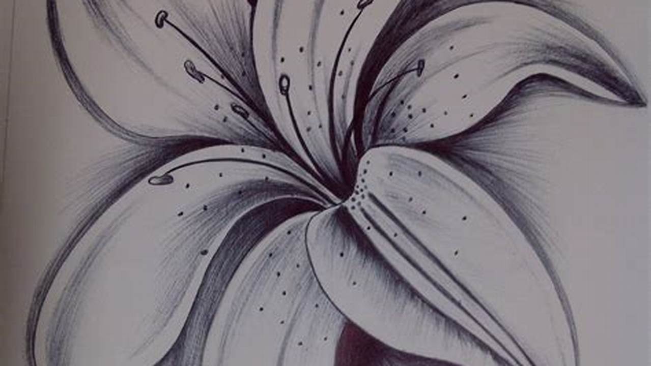 Easy Flower Pencil Sketch: A Step-by-Step Guide for Beginners