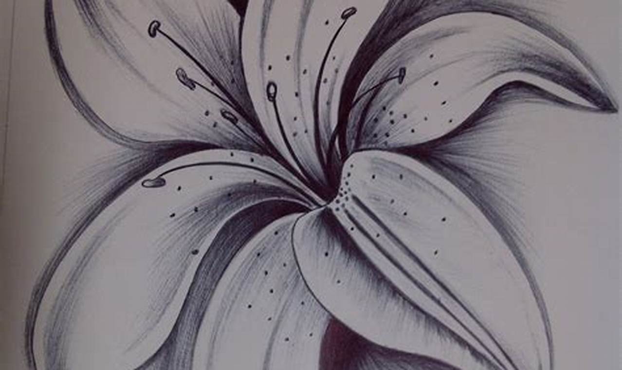 Easy Flower Pencil Sketch: A Step-by-Step Guide for Beginners