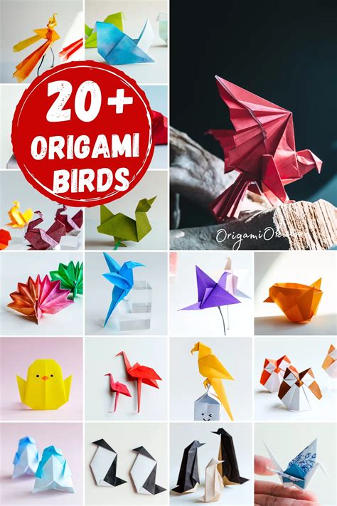 Easy Bird Pictures for Your Projects