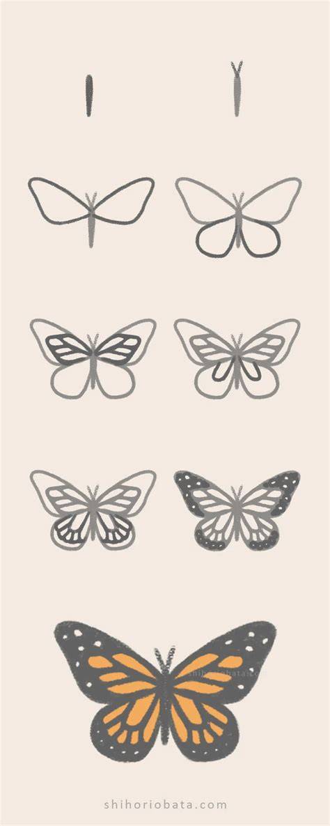 Easy Butterfly Drawing Ideas for Beginners
