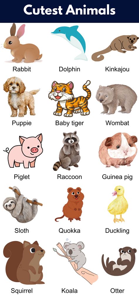 Easy Cute Animals List