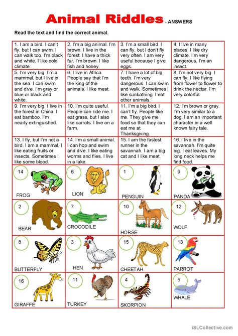 Easy Funny Animal Riddles With Answers