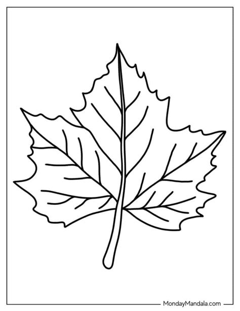 Easy Maple Leaf Coloring Page