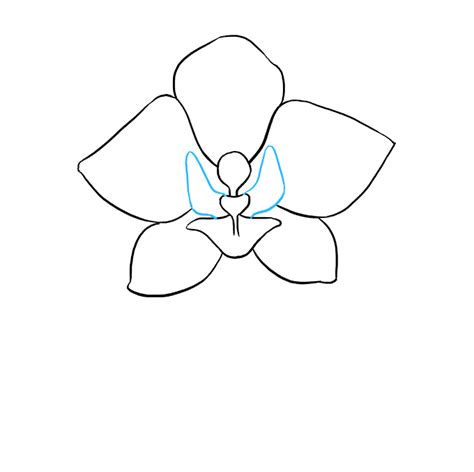 Easy Orchid Drawing