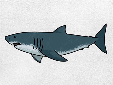 Easy Simple Shark Drawing