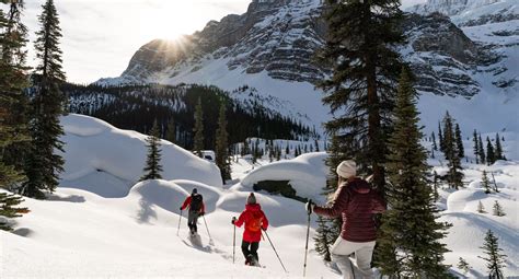 Easy Snowshoeing Tour