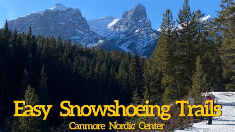 Easy Snowshoeing Trails