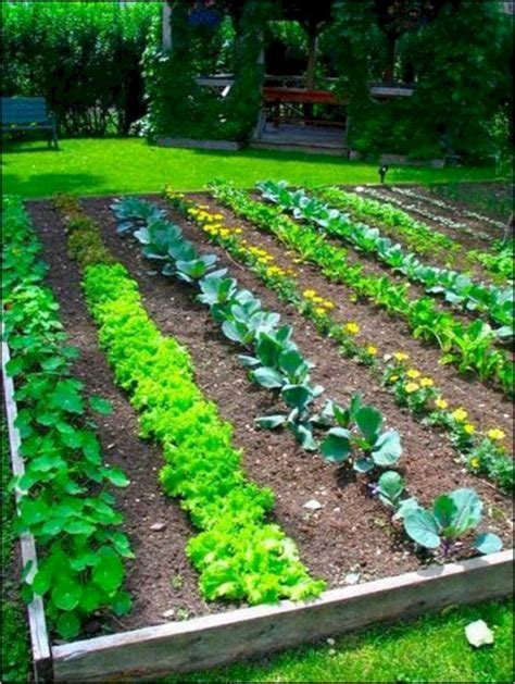 Easy Vegetable Garden Ideas