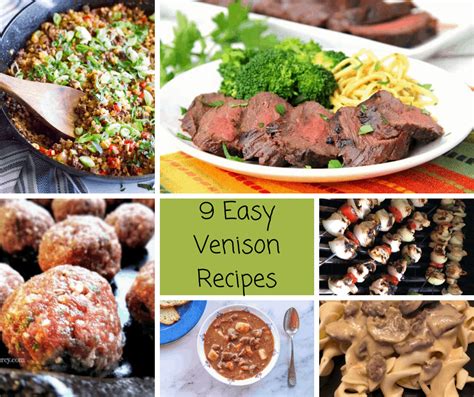 Easy Venison Recipes