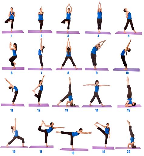 Easy Yoga Poses Beginners