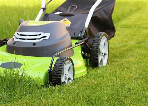 Easy Lawn Maintenance: Tips for a Green and Gorgeous Yard