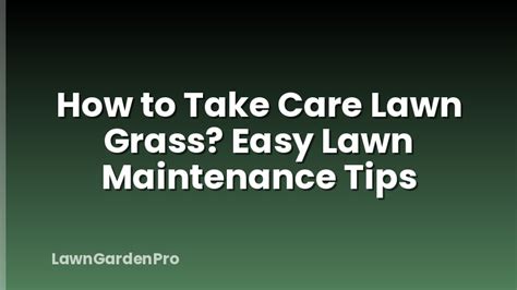 Easy Lawn Maintenance: Tips for a Green and Gorgeous Yard