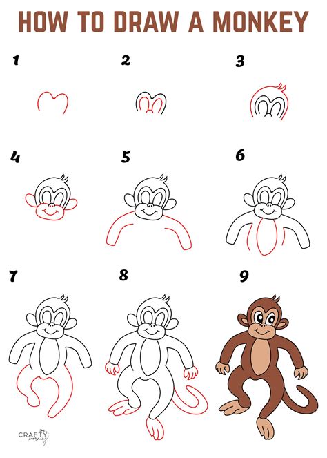 Easy Monkey Drawing Tutorials