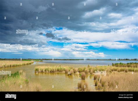 Ebro Delta landscape
