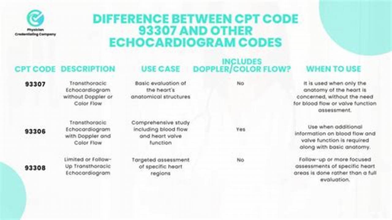 Echo Cpt Code 2024