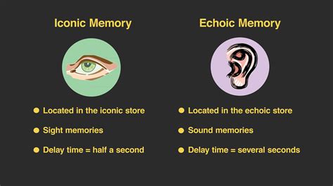 Unleashing the Astonishing Echoic Memory Psychology Definition: An Enchanting Insight into Human Auditory Perception