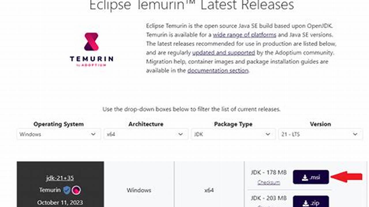 Eclipse Temurin Jdk With Hotspot 11.0.13+8