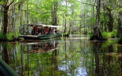 Eco Friendly Swamp Tours