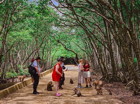 Eco Tour Options Can Gio