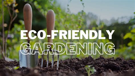 Eco-friendly