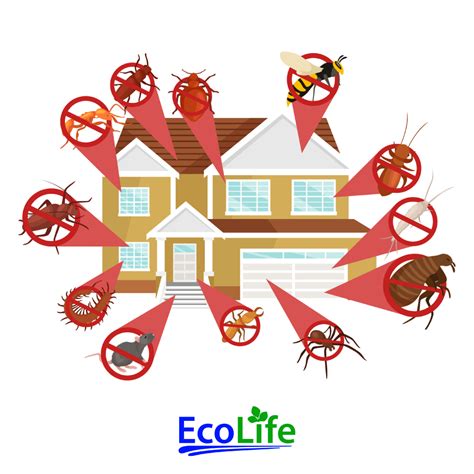 Ecolife Pest Control