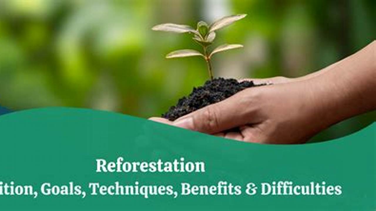 Economic Benefits, Reforestation