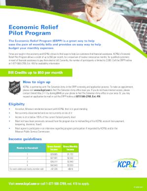 Economic Relief Program Application Process