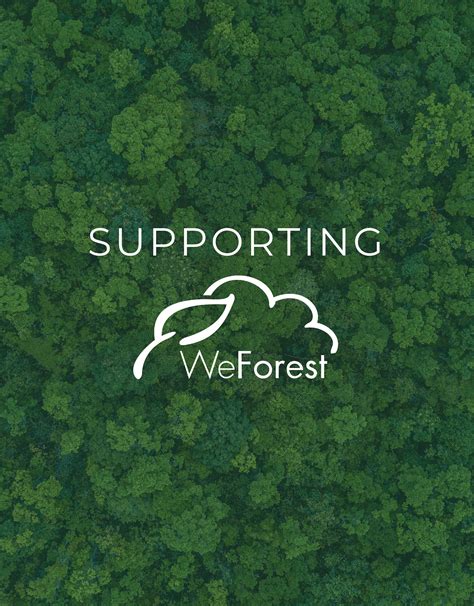 Ecosia WeForest
